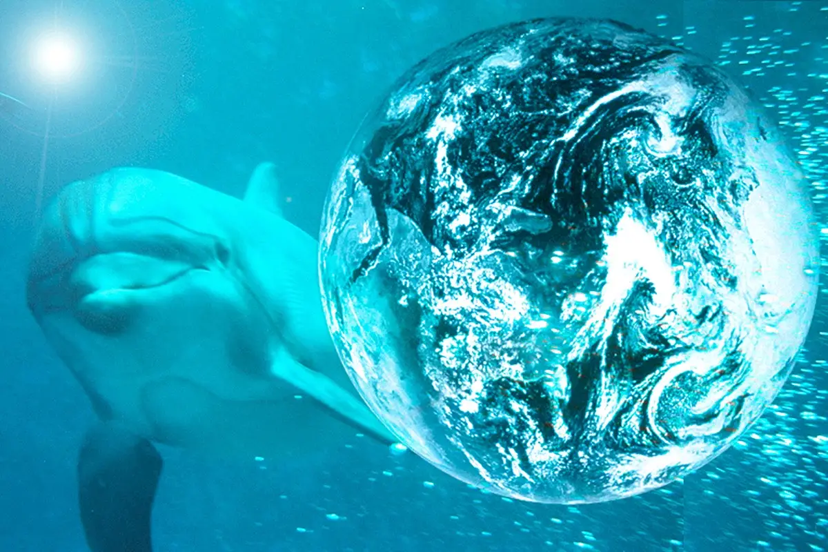 Dylan Tauber Photo 1