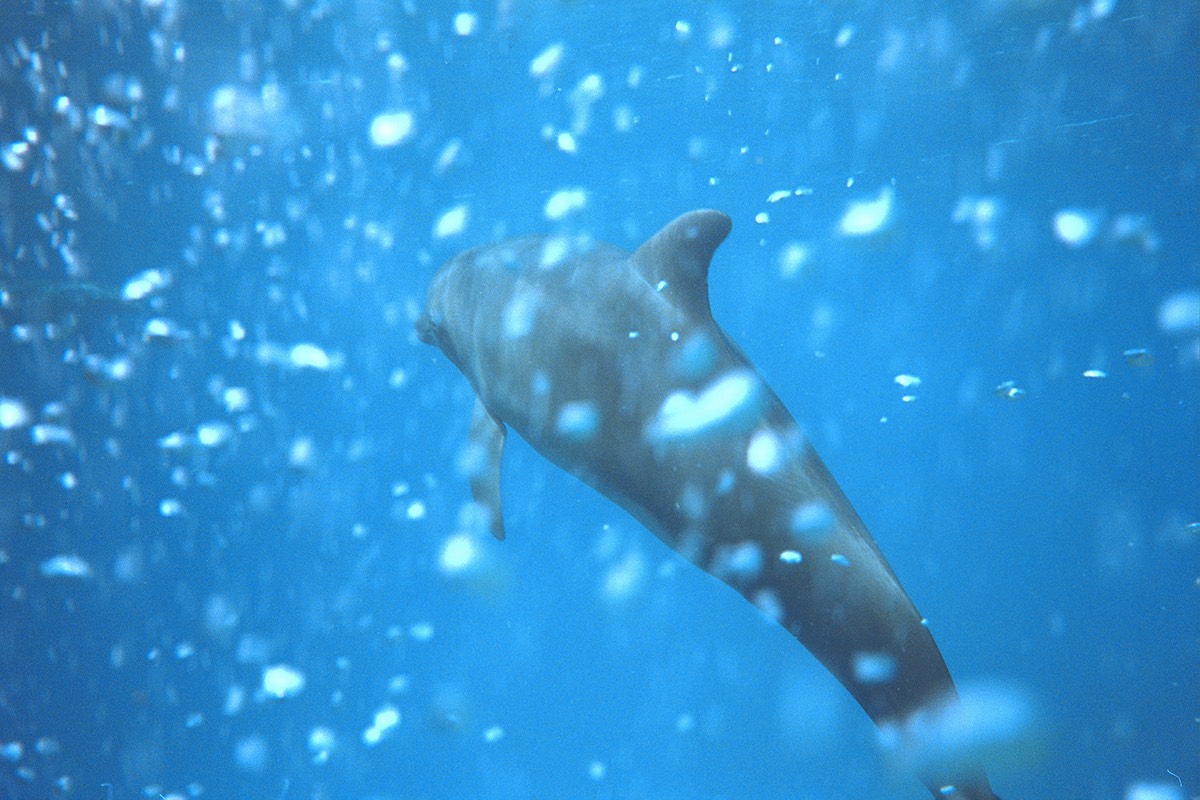 Dylan Tauber Photo 2