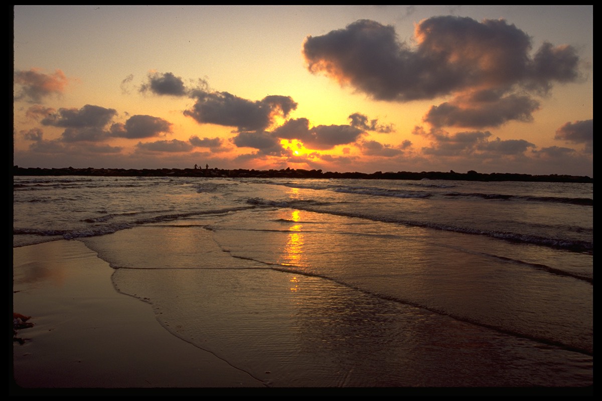 Dylan Tauber Photo 16