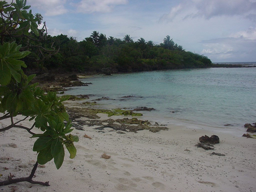 Dylan Tauber Photo 37