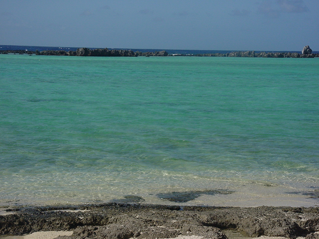 Dylan Tauber Photo 35