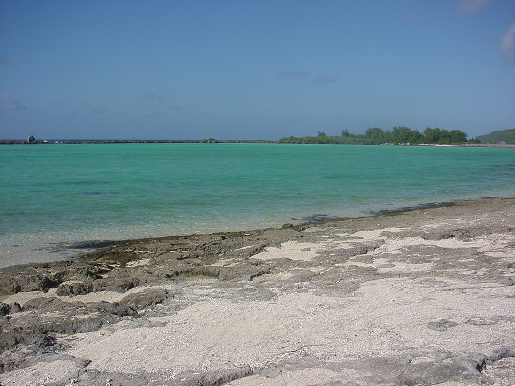 Dylan Tauber Photo 36