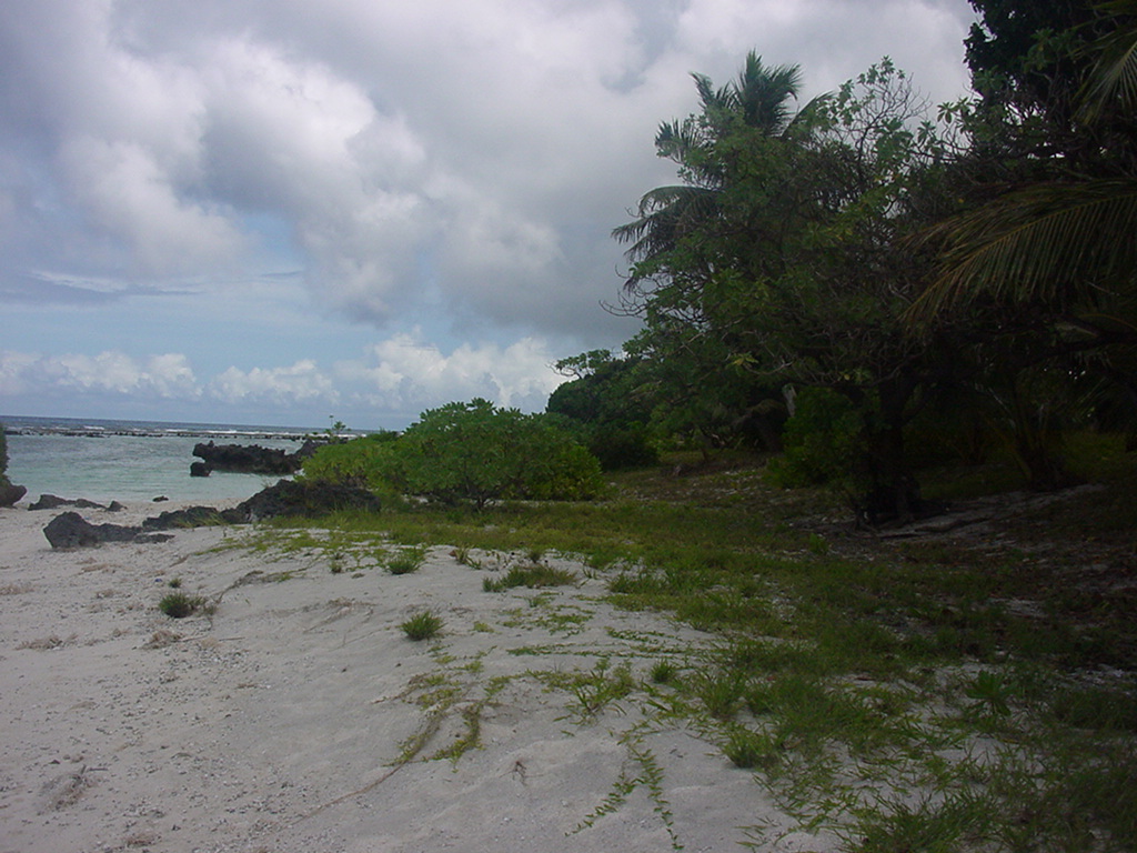 Dylan Tauber Photo 38