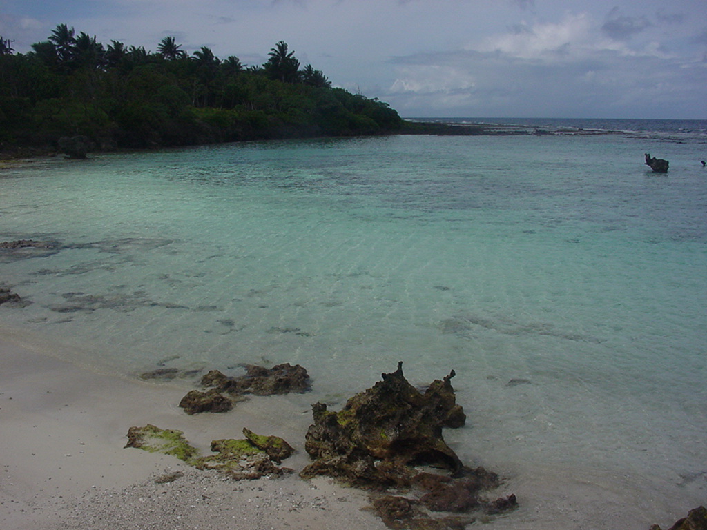 Dylan Tauber Photo 39