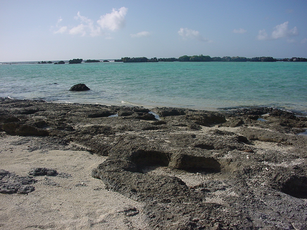 Dylan Tauber Photo 54