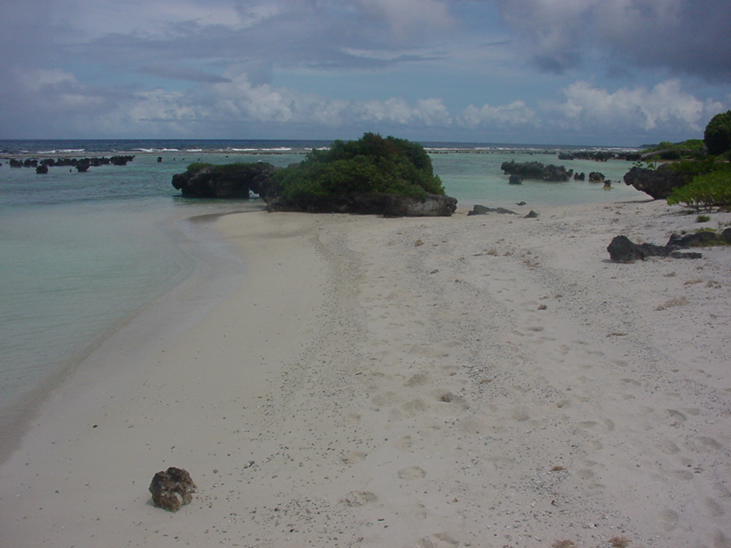 Dylan Tauber Photo 40