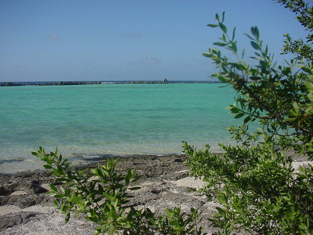 Dylan Tauber Photo 41