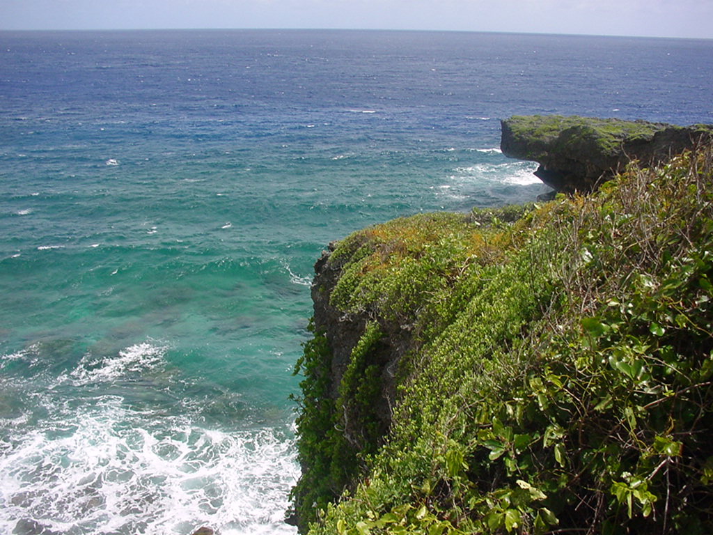 Dylan Tauber Photo 43