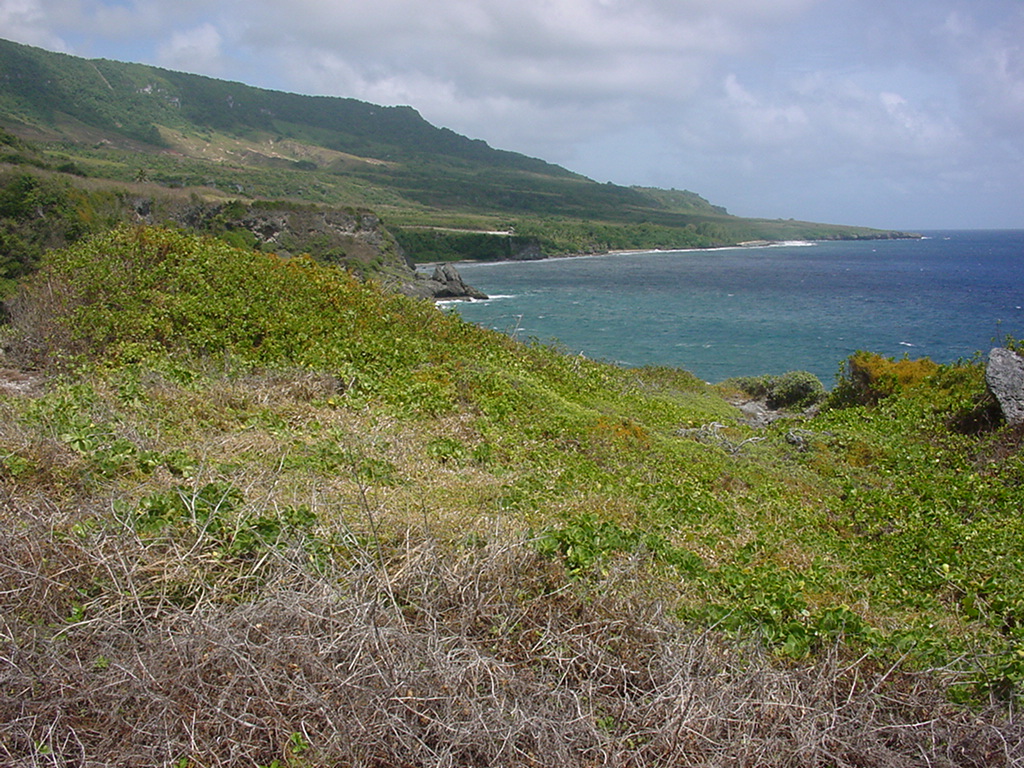 Dylan Tauber Photo 44