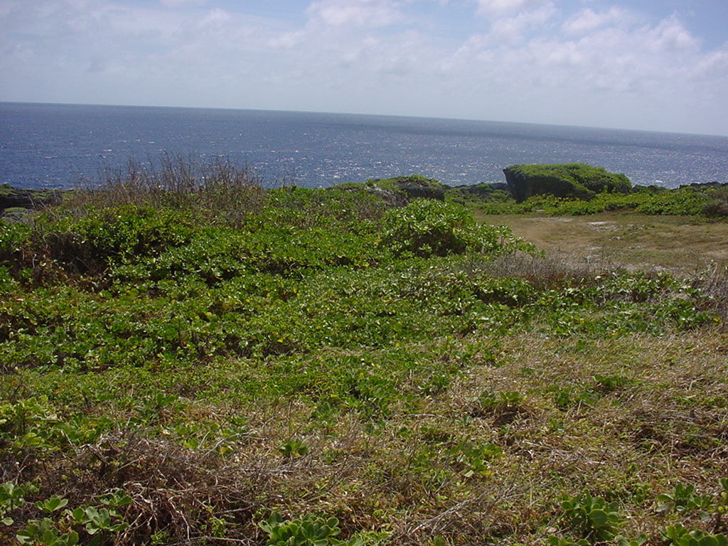 Dylan Tauber Photo 45