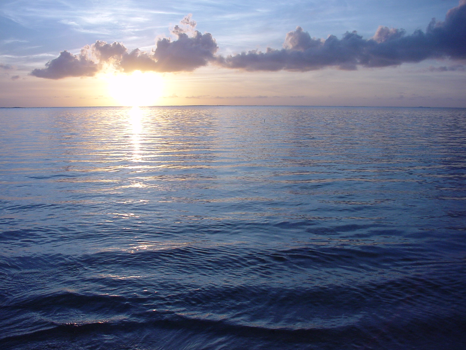 Dylan Tauber Photo 50