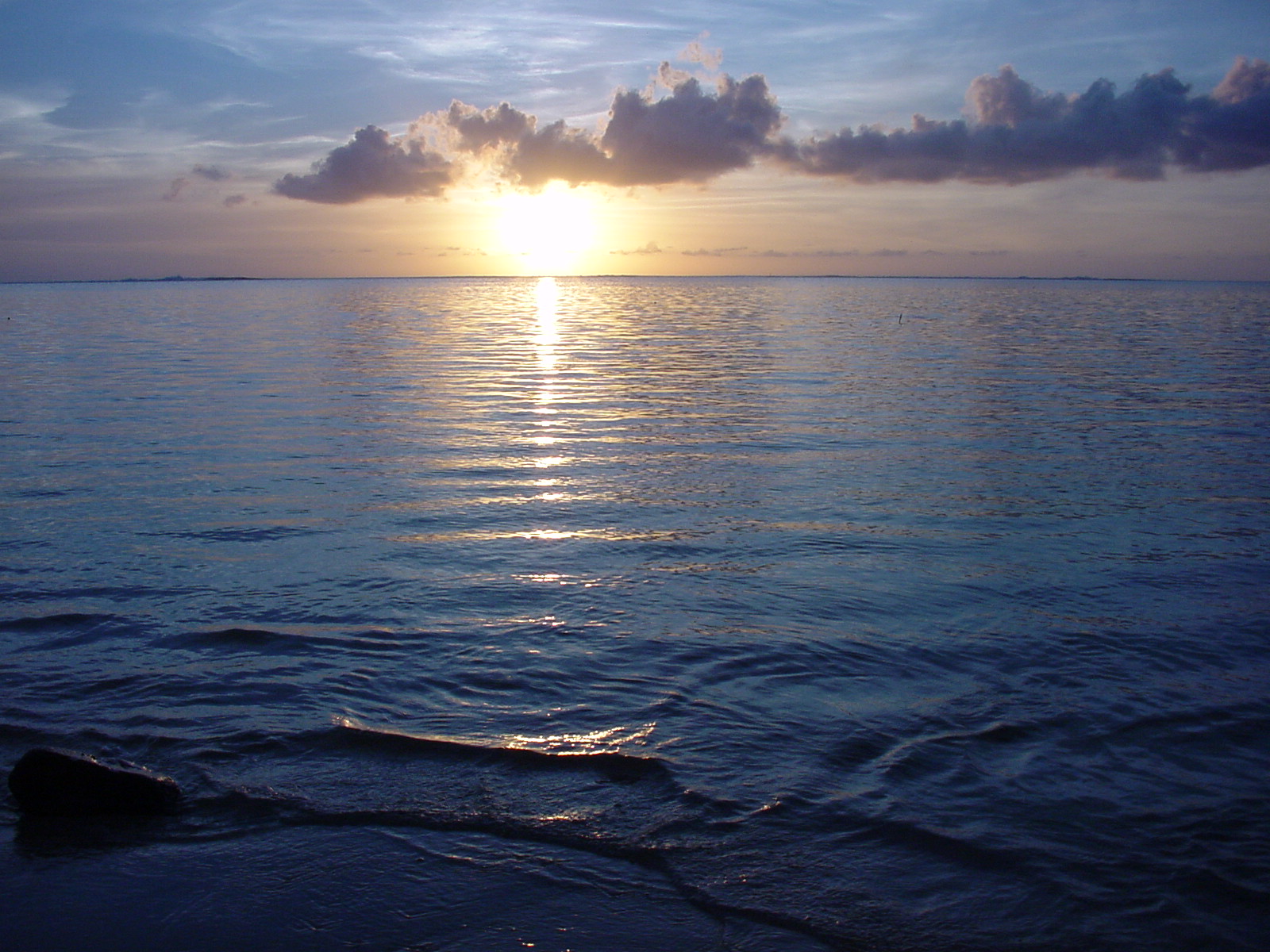 Dylan Tauber Photo 52