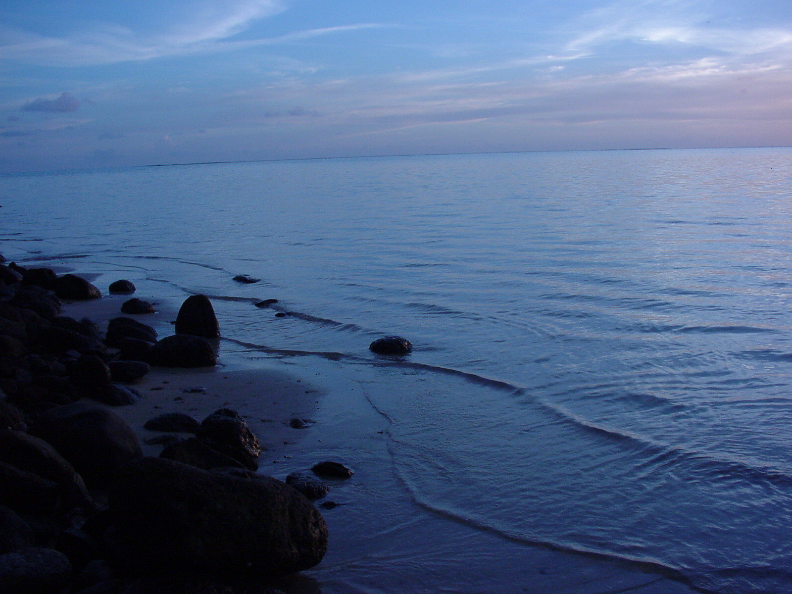 Dylan Tauber Photo 51