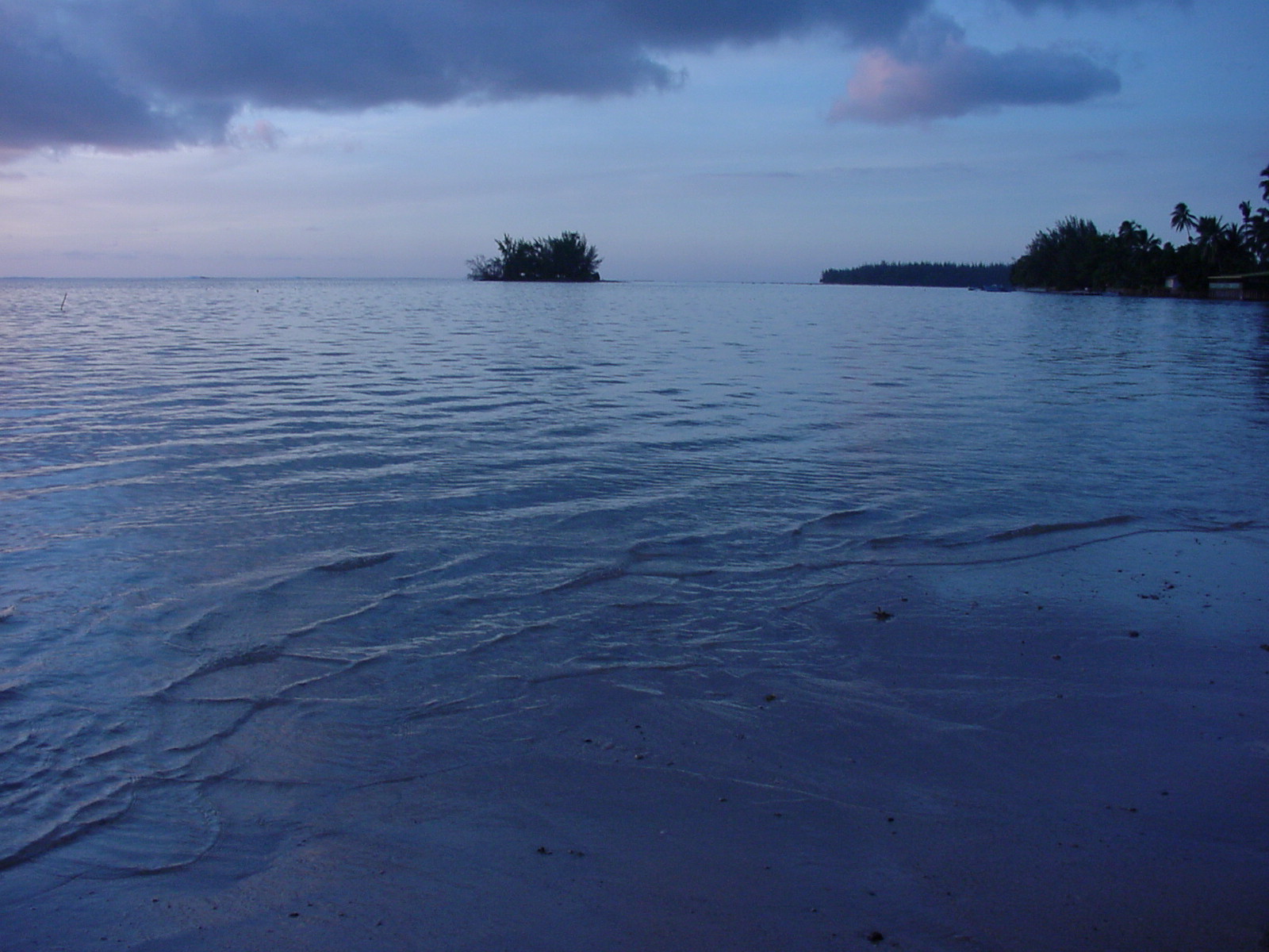 Dylan Tauber Photo 53