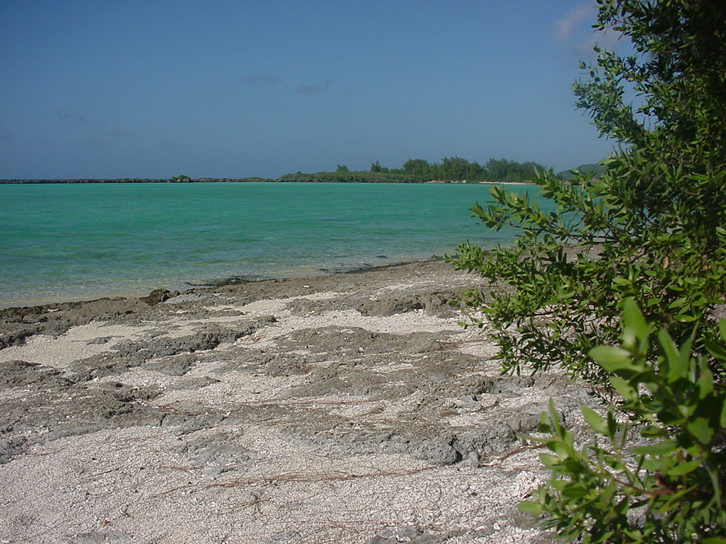 Dylan Tauber Photo 47