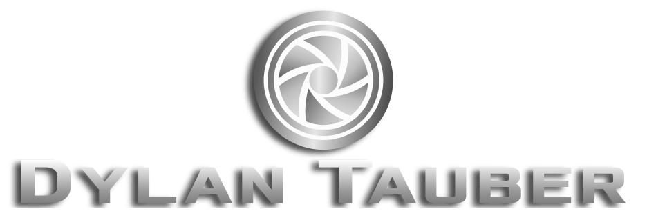 Dylan Tauber official website logo