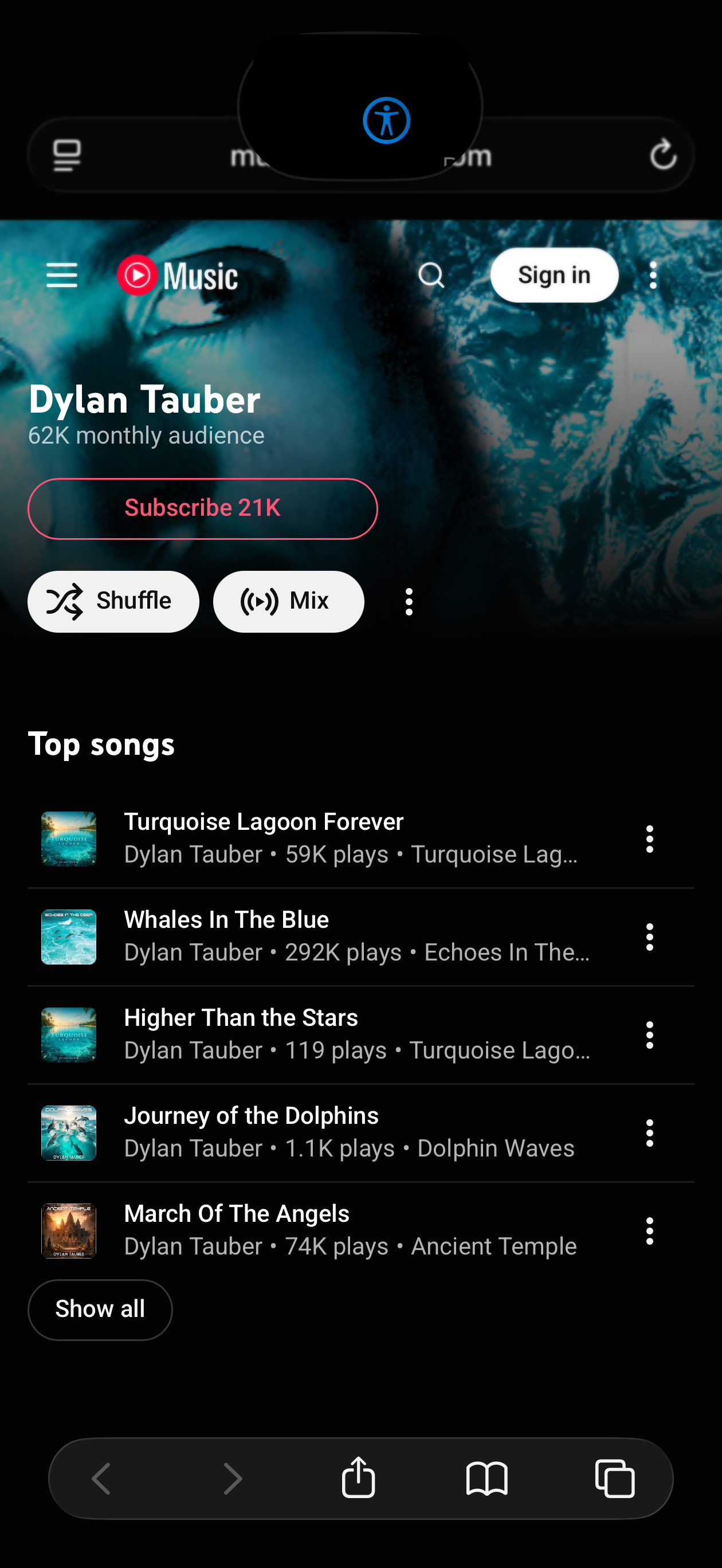 Dylan Tauber on YouTube Music