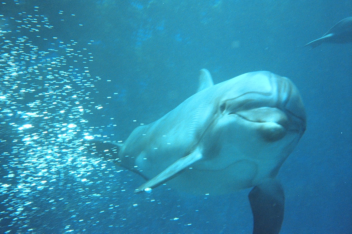 Dylan Tauber Photo 11