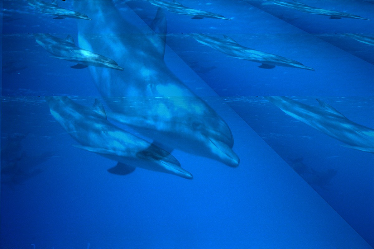 Dylan Tauber Photo 7