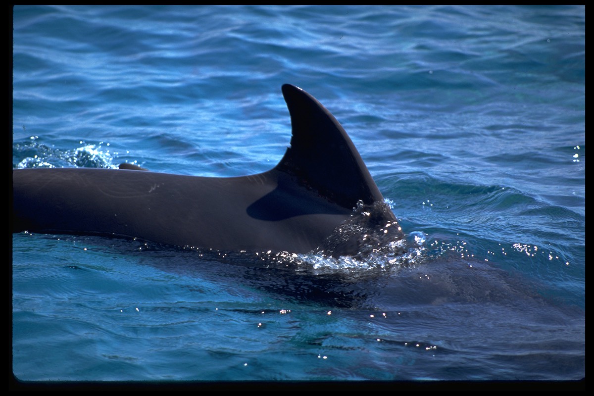 Dylan Tauber Photo 6