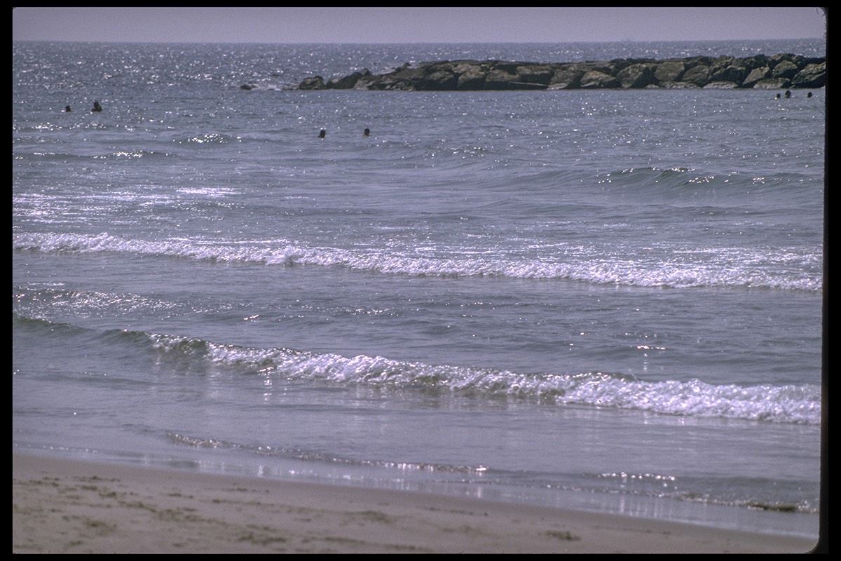 Dylan Tauber Photo 15