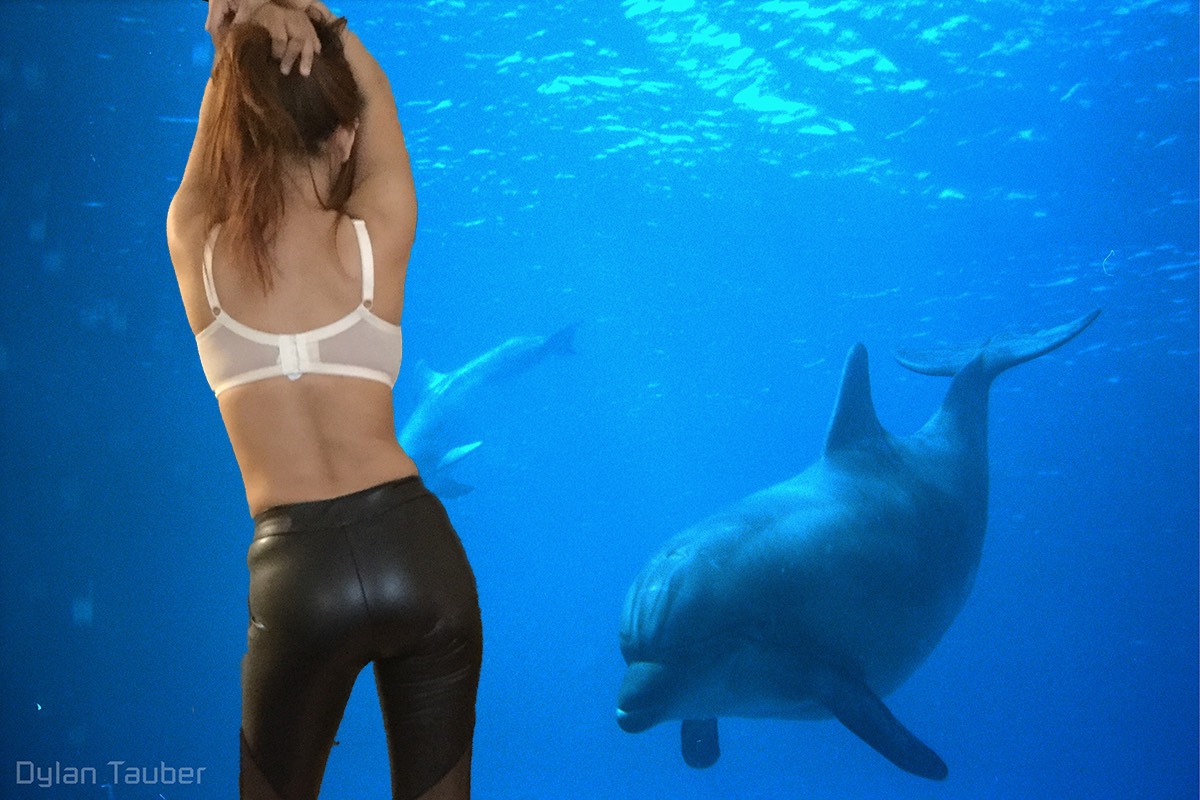 Dylan Tauber Photo 5