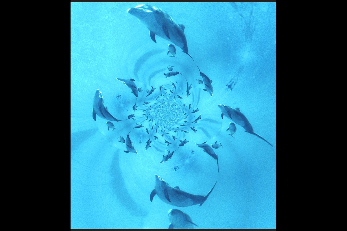 Dylan Tauber Photo 10