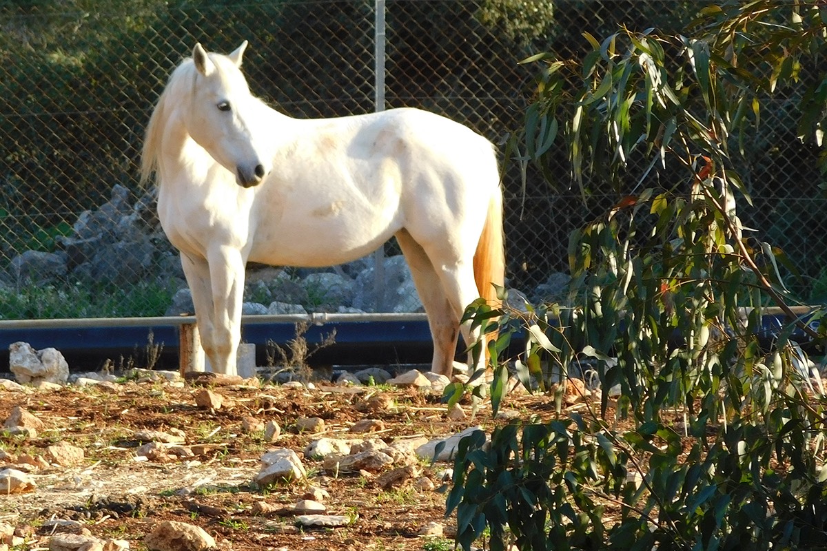 Dylan Tauber Photo 61