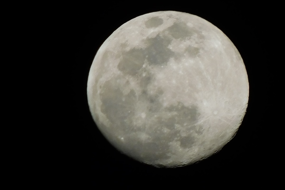 Dylan Tauber Photo 62